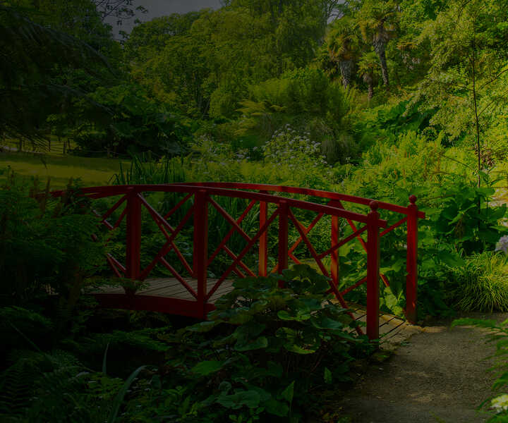 Abbotsbury Subtropical Gardens